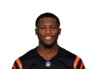 Headshot of Tee Higgins